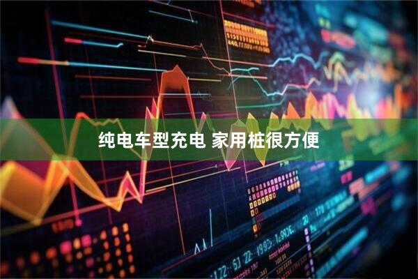 纯电车型充电 家用桩很方便