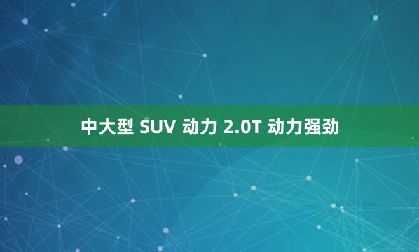 中大型 SUV 动力 2.0T 动力强劲